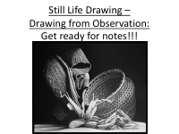 Drawing Still Lifes.pdf